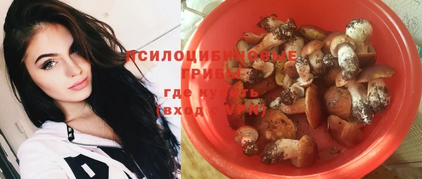 шишки Абдулино